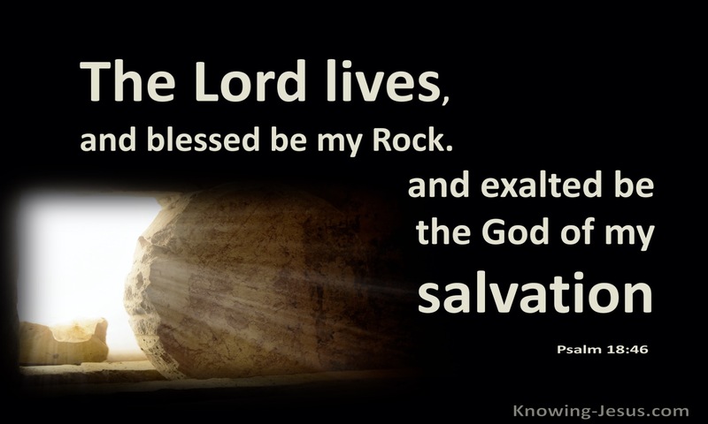 Psalm 18:46 The Lord Lives, And Blessed Be My Rock (brown)